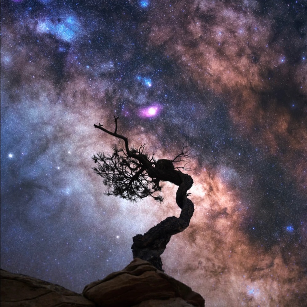 Meet your Posher, Rochelle a